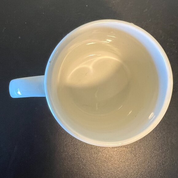 FLOWERS of ALASKA Mug ~ Sitka Rose ~ Lupine ~ Forget-Me-Not ~ Iceland Poppy - Picture 12 of 14